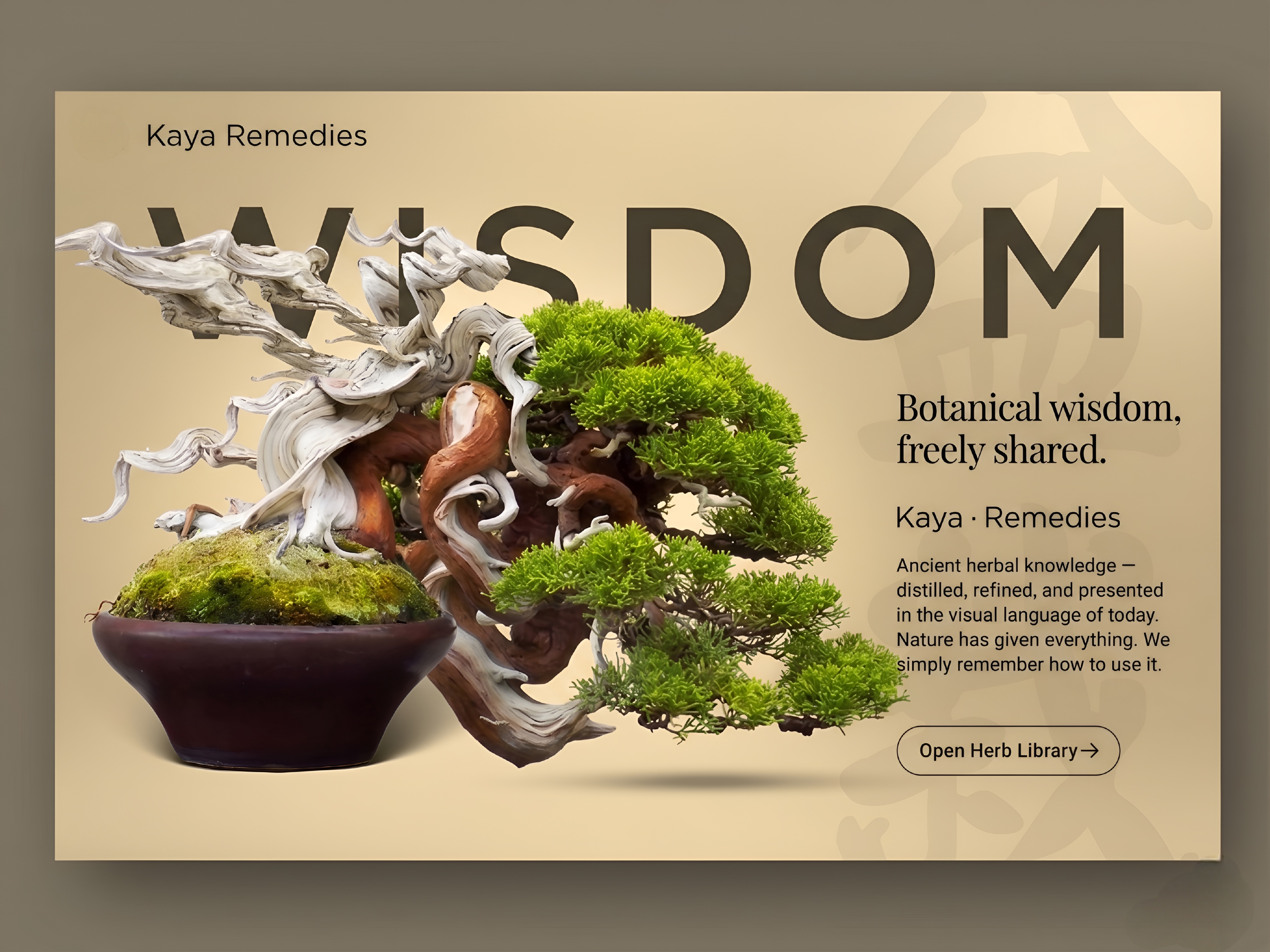 Kaya Remedies project mockup